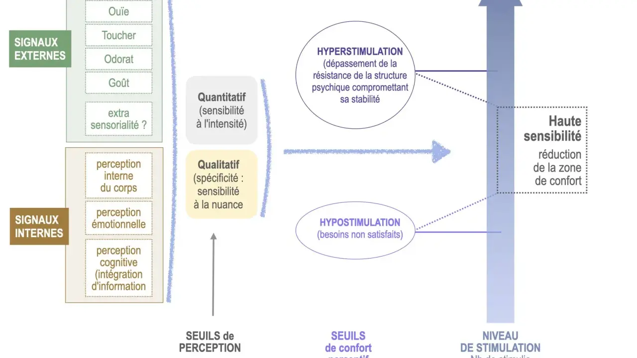 Diagramme illustrant les signaux externes et internes, la stimulation, l'hypersensibilité et l'hyposensation.