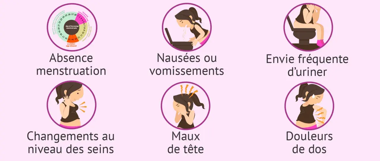 Absence de règles, nausées, envie fréquente d'uriner, seins sensibles, maux de tête, douleurs de dos : des signes qui peuvent indiquer qu'on est enceinte.