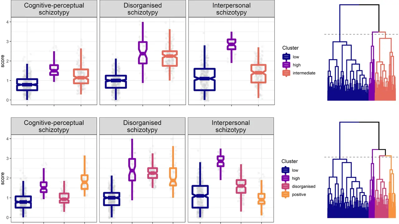 Graphiques comparant des scores de schizotypie (cognitivo-perceptuelle, désorganisée, interpersonnelle) par cluster. Un test schizotypique révèle des tendances.
