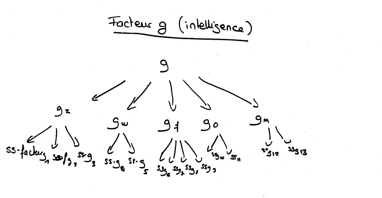 Diagramme hiérarchique du facteur g (intelligence), montrant ses sous-facteurs.