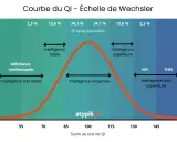 Courbe du QI montrant la distribution normale. Elle illustre les HPI et HPE en même temps, avec des zones pour l'intelligence faible, moyenne et supérieure.