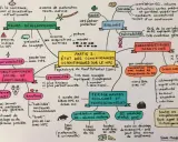 Carte mentale sur le HPI adulte : neuro-développement, biologie, caractéristiques cognitives, fonctionnement social et émotionnel, personnalité, performances scolaires et professionnelles.