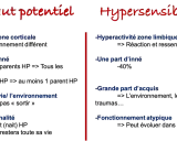 Comparaison entre haut potentiel et hypersensible : hyperactivité, part d'inné/acquis, impact environnemental, trait de personnalité ou fonctionnement atypique.