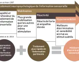 Schéma du traitement neuropsychologique de l'information sensorielle, incluant l'hypersensibilité. Un psychologue peut aider à gérer ces aspects.