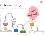 Un homme HPI, comme un chimiste, cherche la bonne formule pour un résultat exceptionnel, pas juste "ça".