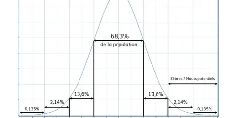 Courbe de distribution du QI, illustrant les résultats d'un test de Wechsler. 68,3% de la population se situe entre 85 et 115.