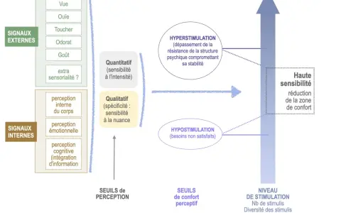 Diagramme illustrant les signaux externes et internes, la stimulation, l'hypersensibilité et l'hyposensation.