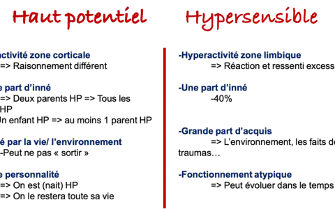 Comparaison entre haut potentiel et hypersensible : hyperactivité, part d'inné/acquis, impact environnemental, trait de personnalité ou fonctionnement atypique.