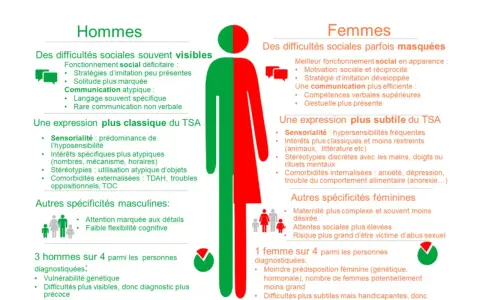 Comparaison des manifestations du test autisme femme et homme. Les femmes ont des difficultés sociales masquées, une expression subtile du TSA.