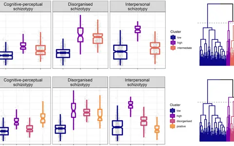 Graphiques comparant des scores de schizotypie (cognitivo-perceptuelle, désorganisée, interpersonnelle) par cluster. Un test schizotypique révèle des tendances.