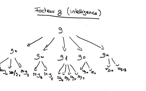 Diagramme hiérarchique du facteur g (intelligence), montrant ses sous-facteurs.