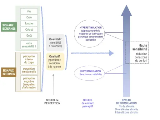 Diagramme illustrant les signaux externes et internes, la stimulation, l'hypersensibilité et l'hyposensation.