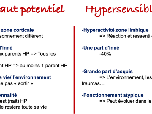 Comparaison entre haut potentiel et hypersensible : hyperactivité, part d'inné/acquis, impact environnemental, trait de personnalité ou fonctionnement atypique.