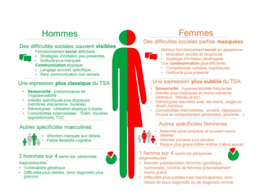 Comparaison des manifestations du test autisme femme et homme. Les femmes ont des difficultés sociales masquées, une expression subtile du TSA.