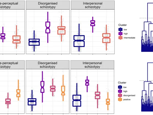 Graphiques comparant des scores de schizotypie (cognitivo-perceptuelle, désorganisée, interpersonnelle) par cluster. Un test schizotypique révèle des tendances.