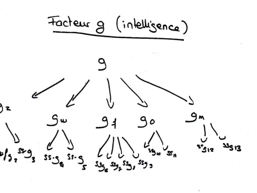 Diagramme hiérarchique du facteur g (intelligence), montrant ses sous-facteurs.