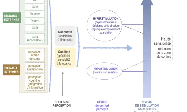 Diagramme illustrant les signaux externes et internes, la stimulation, l'hypersensibilité et l'hyposensation.