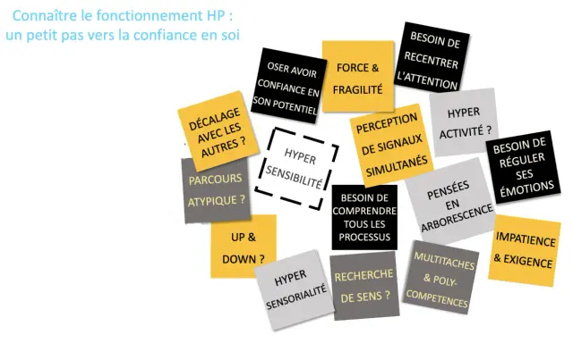 Comprendre le fonctionnement HP, un aspect de la psychologie du surdoué, révèle hypersensibilité, pensée en arborescence, et besoin de sens.
