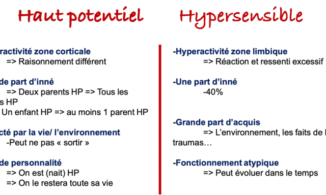 Comparaison entre haut potentiel et hypersensible : hyperactivité, part d'inné/acquis, impact environnemental, trait de personnalité ou fonctionnement atypique.