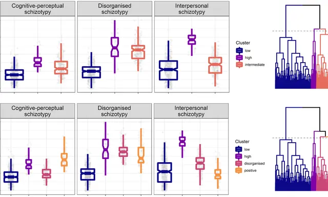 Graphiques comparant des scores de schizotypie (cognitivo-perceptuelle, désorganisée, interpersonnelle) par cluster. Un test schizotypique révèle des tendances.