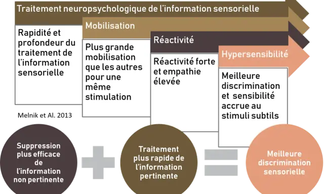Schéma du traitement neuropsychologique de l'information sensorielle, incluant l'hypersensibilité. Un psychologue peut aider à gérer ces aspects.