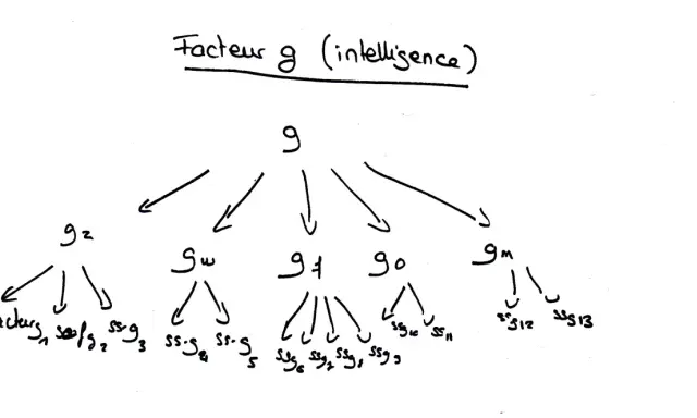 Diagramme hiérarchique du facteur g (intelligence), montrant ses sous-facteurs.