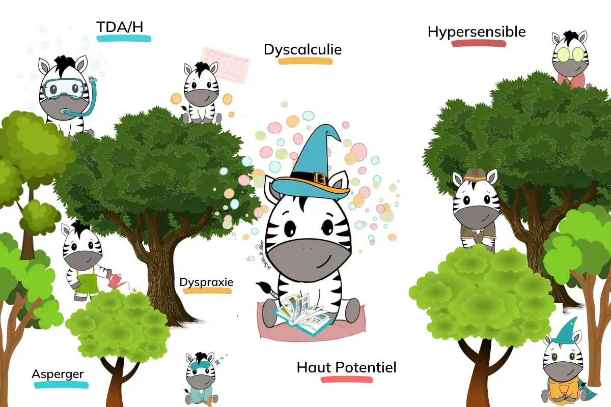 Des z&egrave;bres aux personnalit&eacute;s diverses : TDA/H, Dyspraxie, Dyscalculie, Hypersensible, Asperger, Haut Potentiel. Chacun est unique.