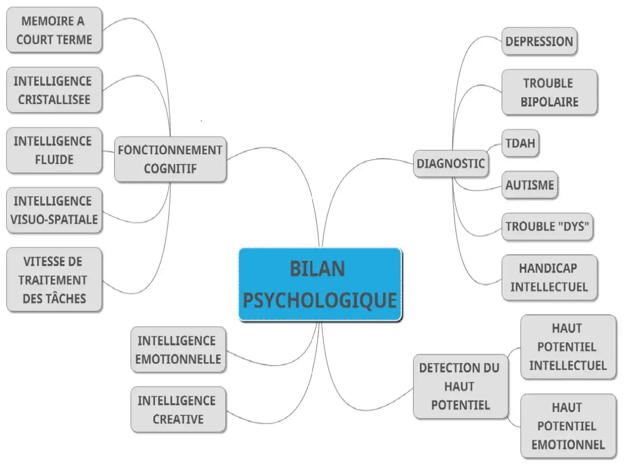 Bilan psychologique : fonctions cognitives (mémoire, intelligence fluide/cristallisée, etc.), diagnostics (autisme, TDAH, etc.) et détection du haut potentiel chez l'adulte.