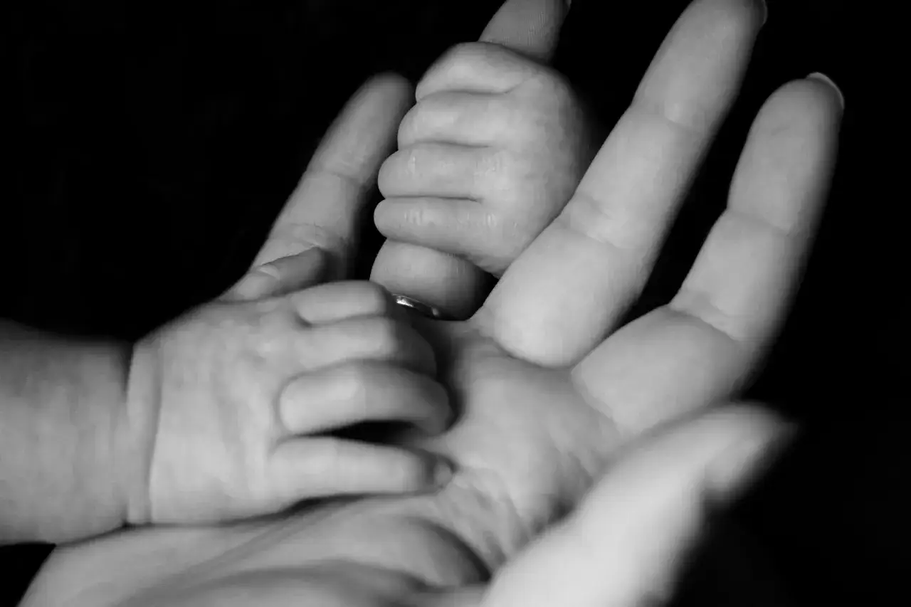 Main d'adulte tenant celle d'un b&eacute;b&eacute;, symbolisant la th&eacute;orie de l'attachement de Ren&eacute; Spitz.