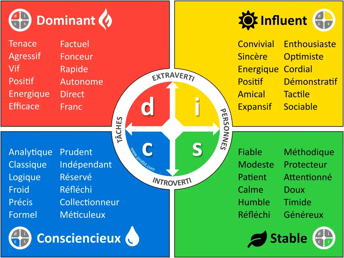 Diagramme DISC : un bilan de personnalit&eacute; montrant les profils Dominant, Influent, Stable et Consciencieux.